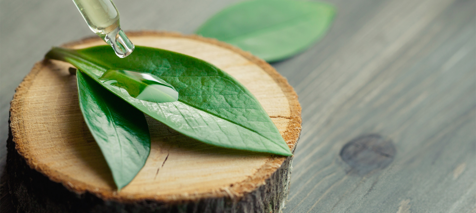 Image of two green leaves sitting on a tree stump with a glass dropper, dropping serum onto the leaves