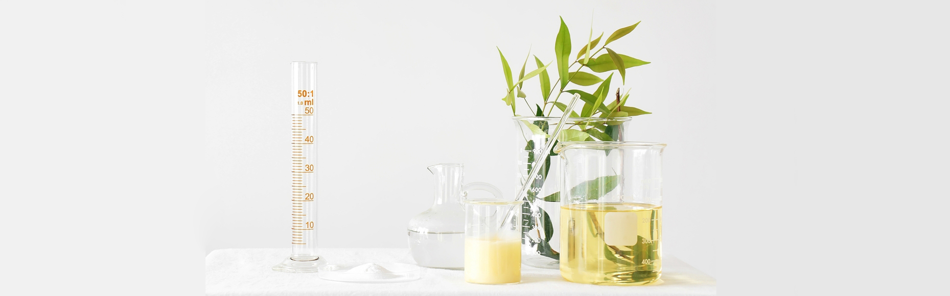 Specialist-advise_rezied Image of three laboratory glass jars and a glass tube with a green leaf plant sitting in one jar
